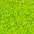 1,000 Perler Beads - Prickly Pear